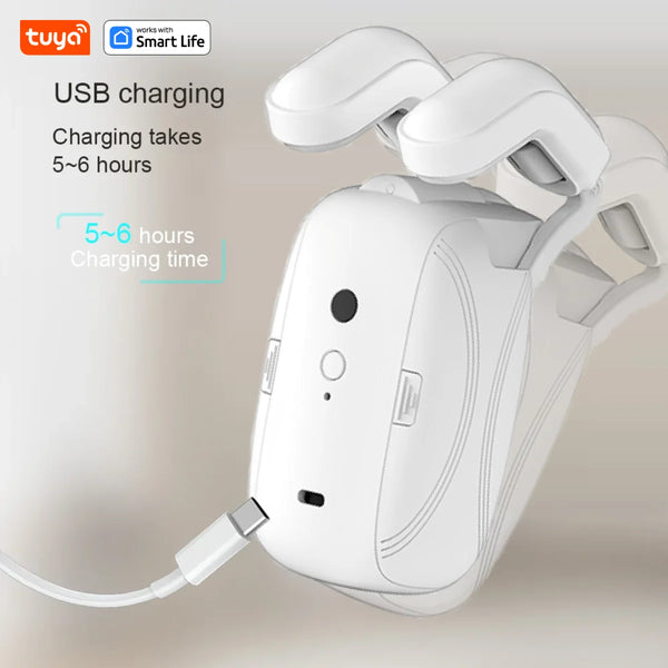 Smart Curtain Companion